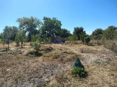 Otelu Rosu, Teren INTRAVILAN, 588mp - Otelu Rosu