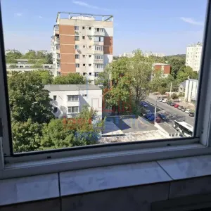 Estudio Tatarasi - Flora - foto 7