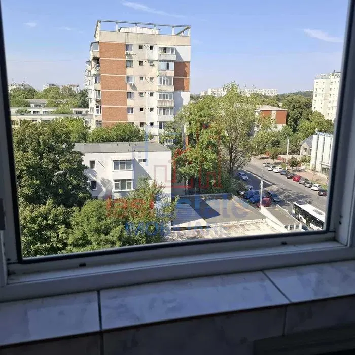 Estudio Tatarasi - Flora - foto 7