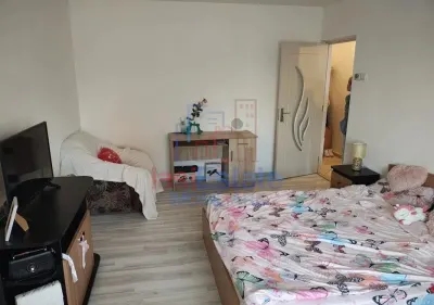Apartament 1 Camera Podu Ros - Iasi