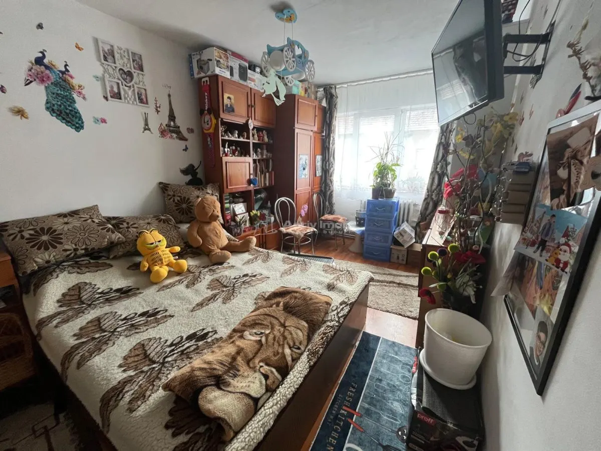Caransebes, Apartamento de 3 Dormitorios, Zona Pipirig Polivalenta - foto 2