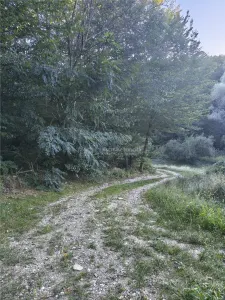 Teren intravilan de vanzare in padure Cisnadioara - foto 2