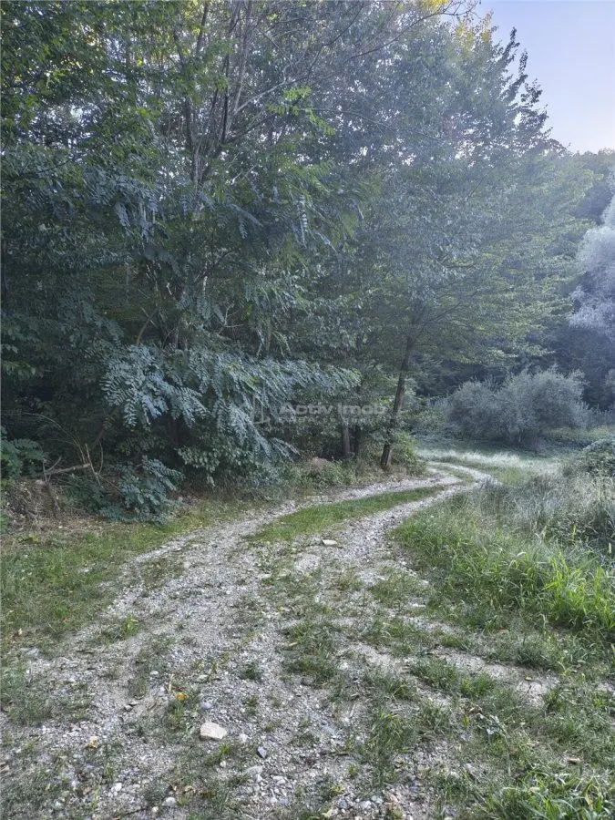 Teren intravilan de vanzare in padure Cisnadioara - foto 2