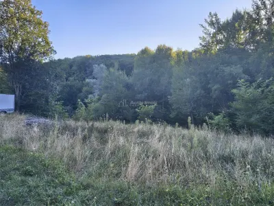 Teren intravilan de vanzare in padure Cisnadioara - foto 11