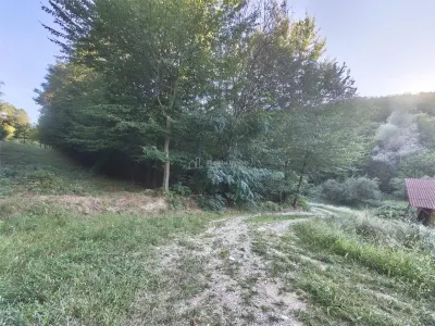 Teren intravilan de vanzare in padure Cisnadioara - foto 12