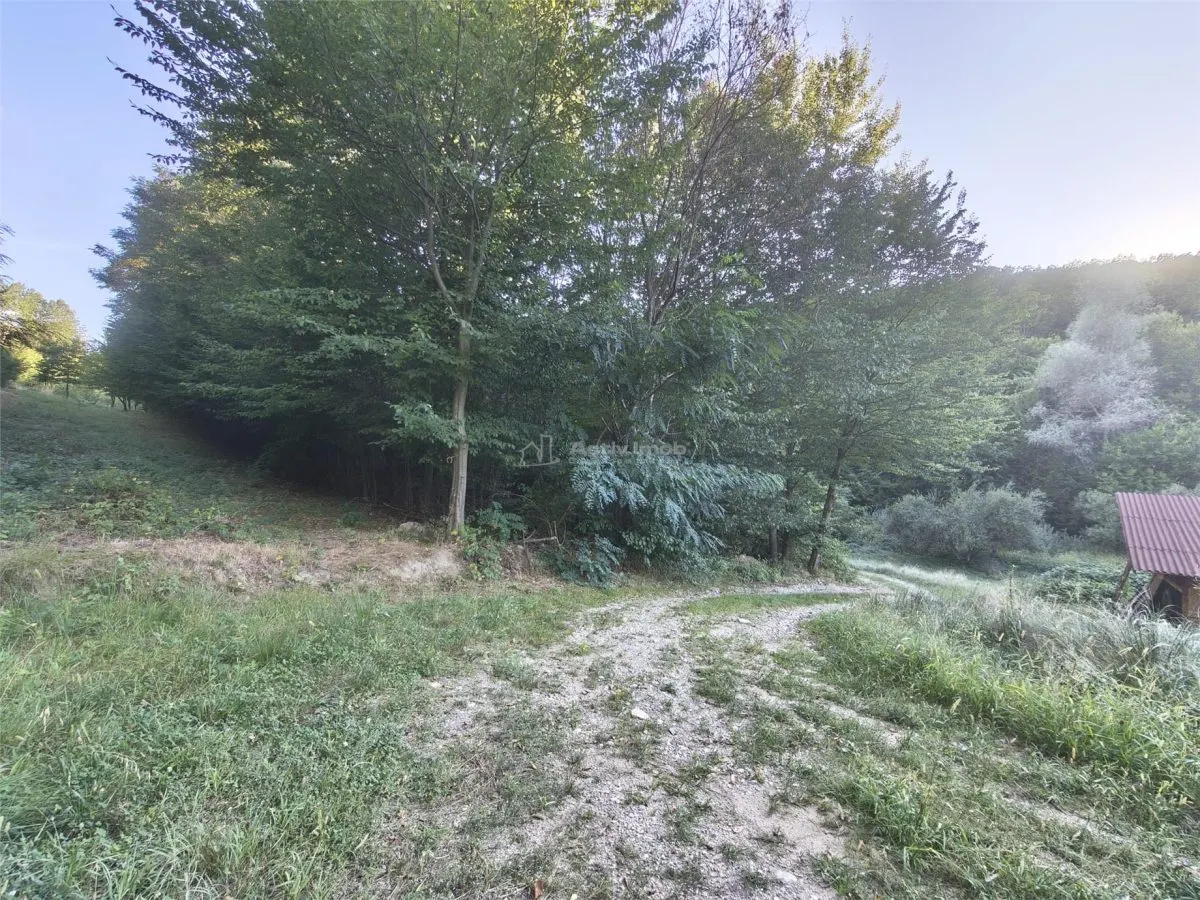 Teren intravilan de vanzare in padure Cisnadioara - foto 12