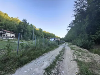 Teren intravilan de vanzare in padure Cisnadioara - foto 13