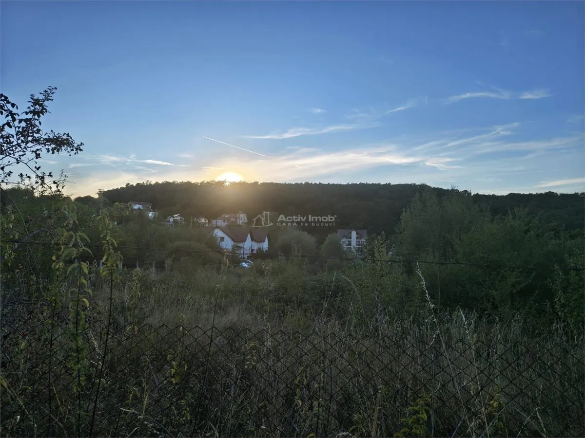 Teren intravilan de vanzare in padure Cisnadioara - foto 15