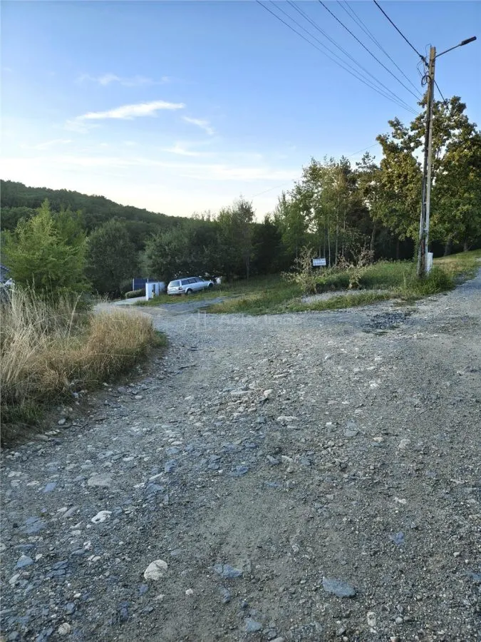 Teren intravilan de vanzare in padure Cisnadioara - foto 16