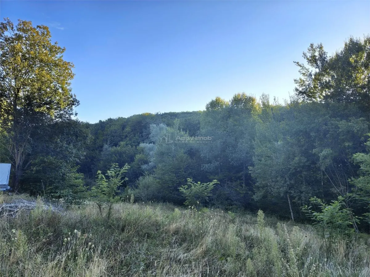 Teren intravilan de vanzare in padure Cisnadioara - foto 3