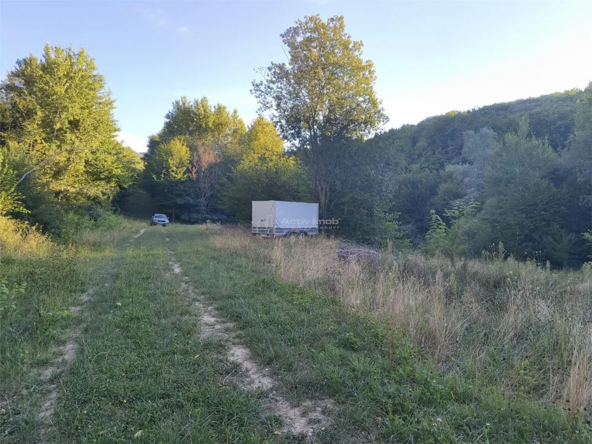 Teren intravilan de vanzare in padure Cisnadioara - foto 5