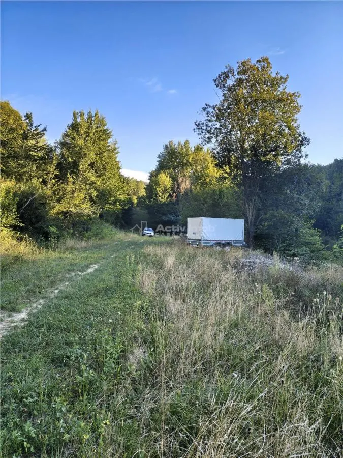 Teren intravilan de vanzare in padure Cisnadioara - foto 9