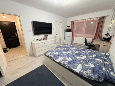 Apartamento de 1 Dormitorio | Totalmente Reformado | Ideal para Estudiante o Inversión - Timisoara