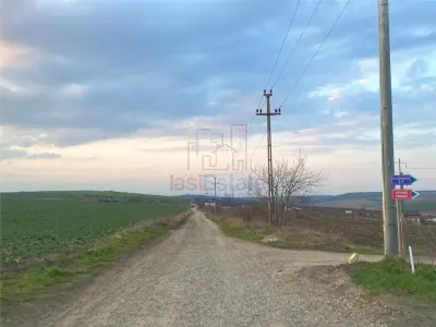 Parcele teren Valea Lupului - Resturant Crystal - foto 4