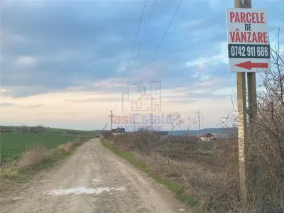 Parcele teren Valea Lupului - Resturant Crystal - foto 7