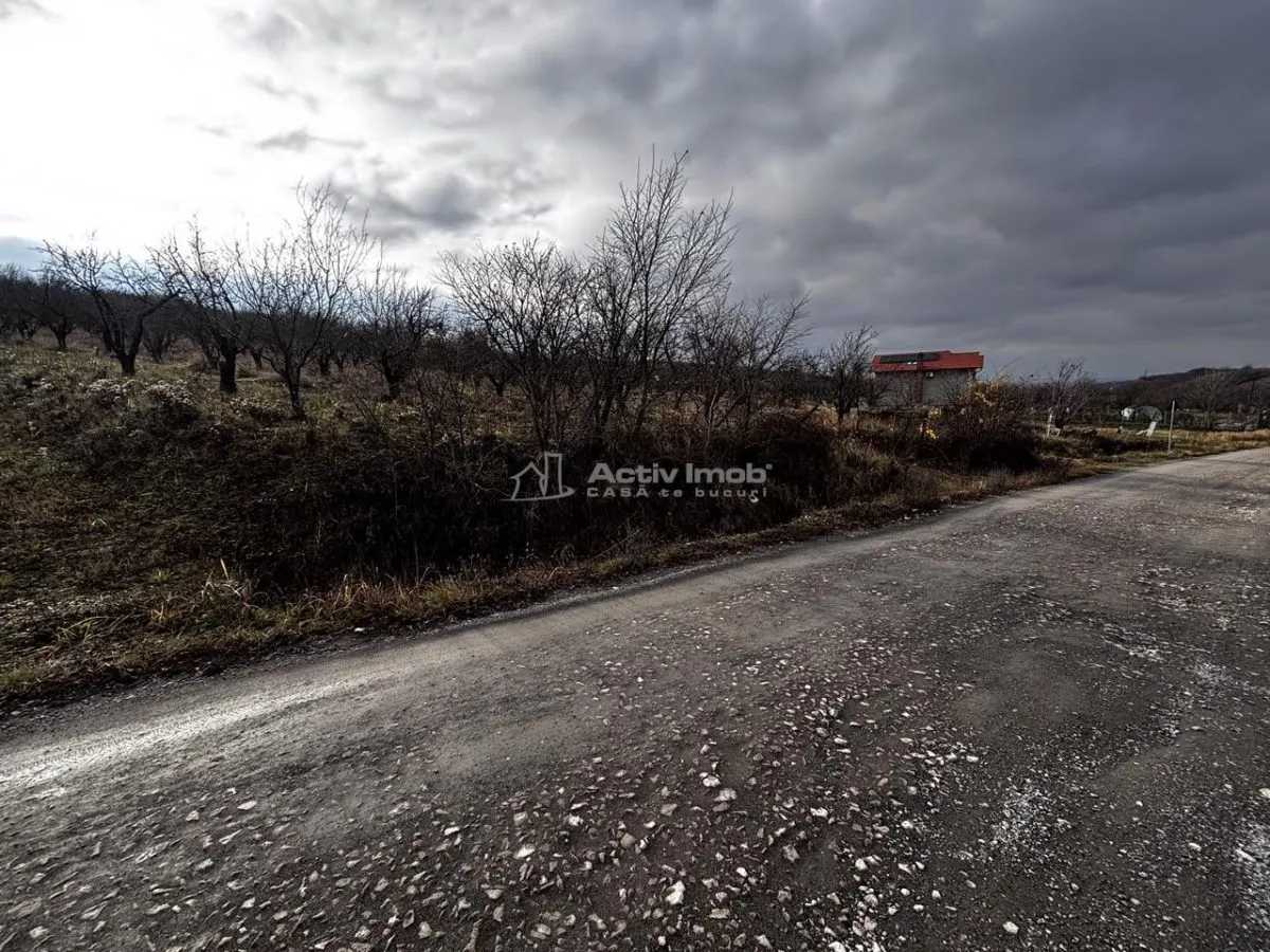 Development Land, Livezilor Street, Oradea - foto 13