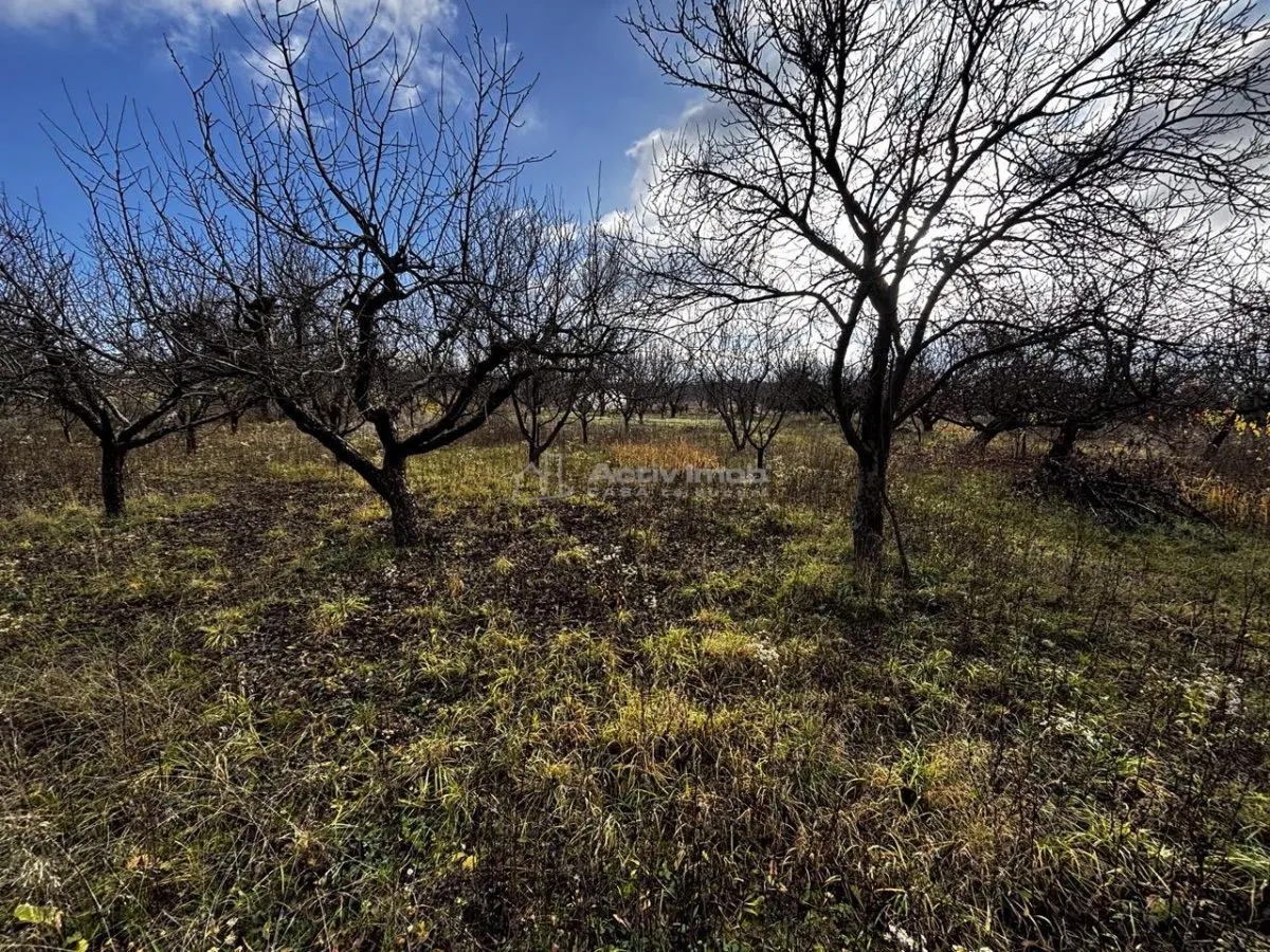 Development Land, Livezilor Street, Oradea - foto 7