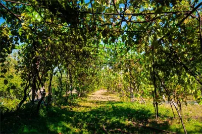 Pensiune cu teren de 5.700 mp, Runcu - Cheile Sohodolului - foto 5