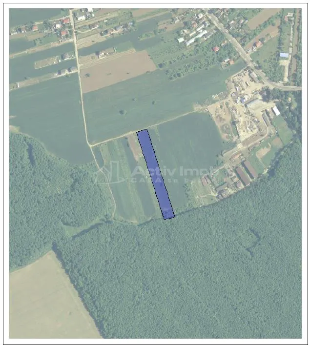 Teren 9247 mp - Ghermanesti - Snagov - foto 2