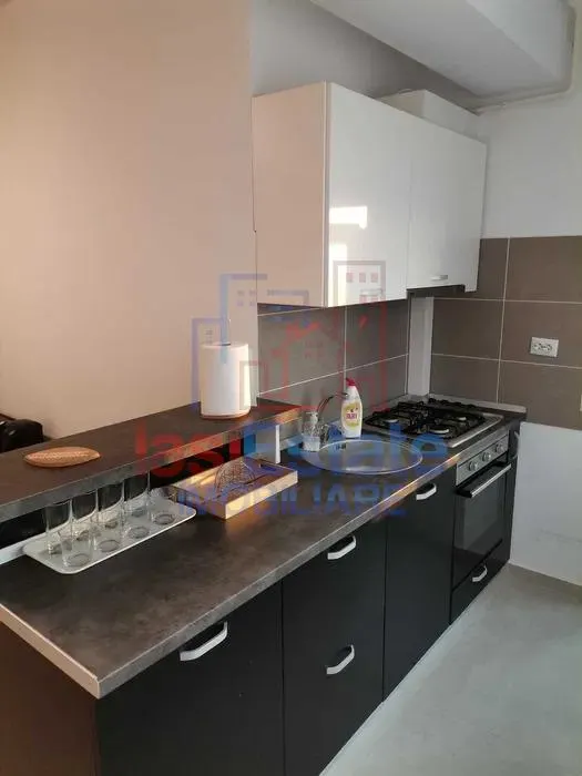 Apartament 2 Camere Pacurari - Petru Poni - foto 3