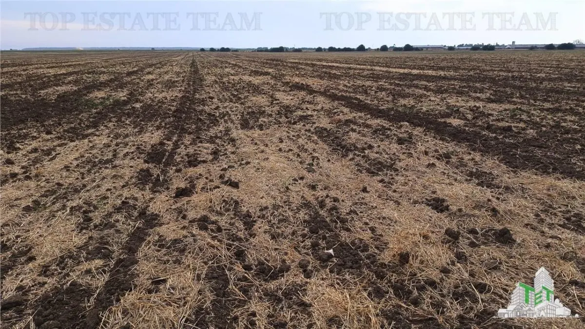 Oferim spre vanzare 6 loturi de teren extravilan (agricol) in Petrachioaia ILFOV la doar 1,9 euro/mp. - foto 11