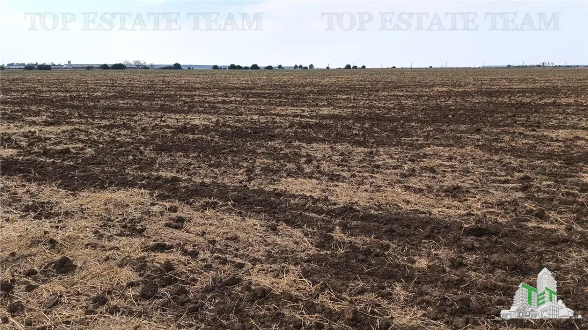 Oferim spre vanzare 6 loturi de teren extravilan (agricol) in Petrachioaia ILFOV la doar 1,9 euro/mp. - foto 12