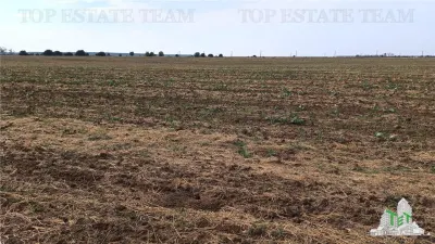 Oferim spre vanzare 6 loturi de teren extravilan (agricol) in Petrachioaia ILFOV la doar 1,9 euro/mp. - foto 13