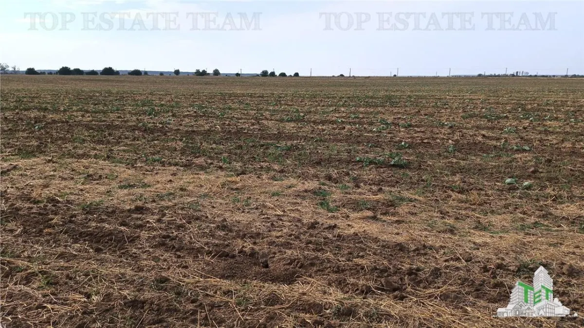 Oferim spre vanzare 6 loturi de teren extravilan (agricol) in Petrachioaia ILFOV la doar 1,9 euro/mp. - foto 13