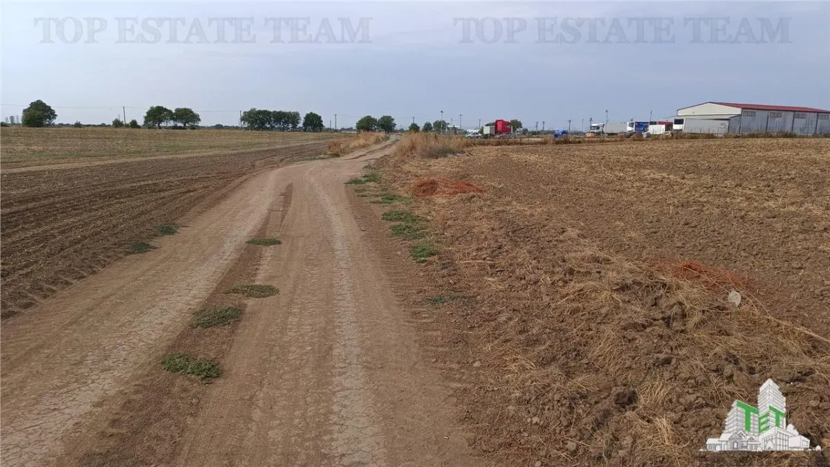 Oferim spre vanzare 6 loturi de teren extravilan (agricol) in Petrachioaia ILFOV la doar 1,9 euro/mp. - foto 15