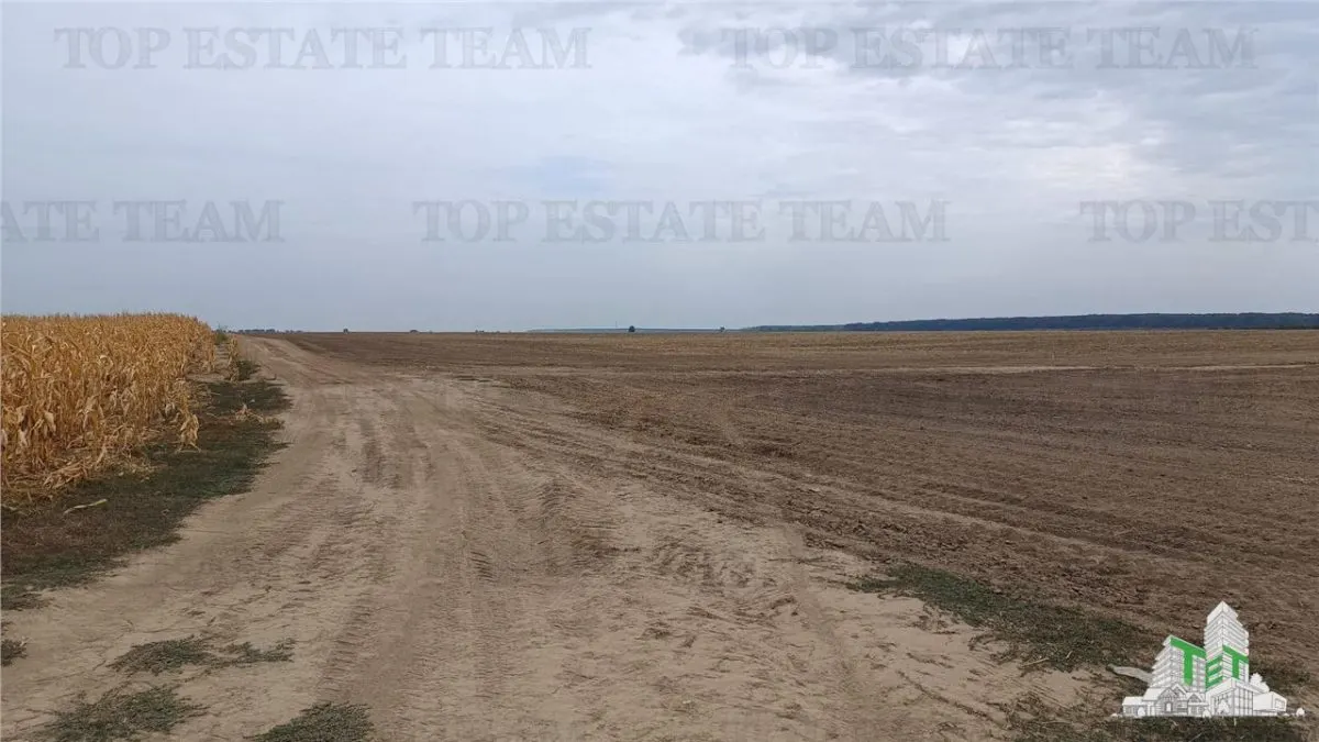 Oferim spre vanzare 6 loturi de teren extravilan (agricol) in Petrachioaia ILFOV la doar 1,9 euro/mp. - foto 3