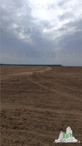Oferim spre vanzare 6 loturi de teren extravilan (agricol) in Petrachioaia ILFOV la doar 1,9 euro/mp. - foto 4