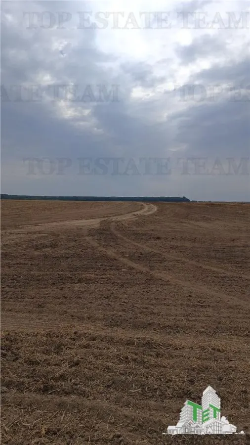 Oferim spre vanzare 6 loturi de teren extravilan (agricol) in Petrachioaia ILFOV la doar 1,9 euro/mp. - foto 4