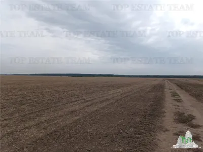 Oferim spre vanzare 6 loturi de teren extravilan (agricol) in Petrachioaia ILFOV la doar 1,9 euro/mp. - foto 5