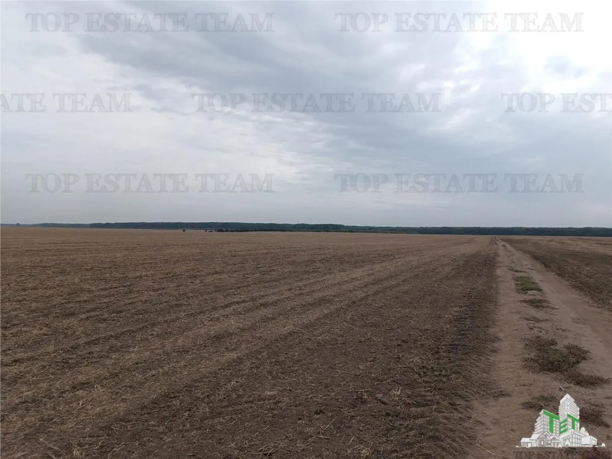 Oferim spre vanzare 6 loturi de teren extravilan (agricol) in Petrachioaia ILFOV la doar 1,9 euro/mp. - foto 5