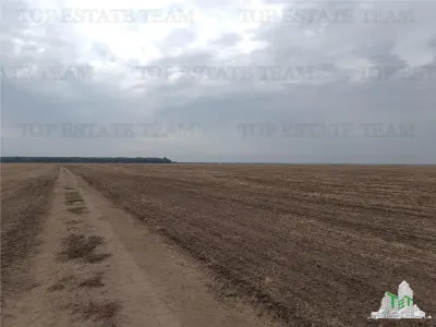 Oferim spre vanzare 6 loturi de teren extravilan (agricol) in Petrachioaia ILFOV la doar 1,9 euro/mp. - foto 6