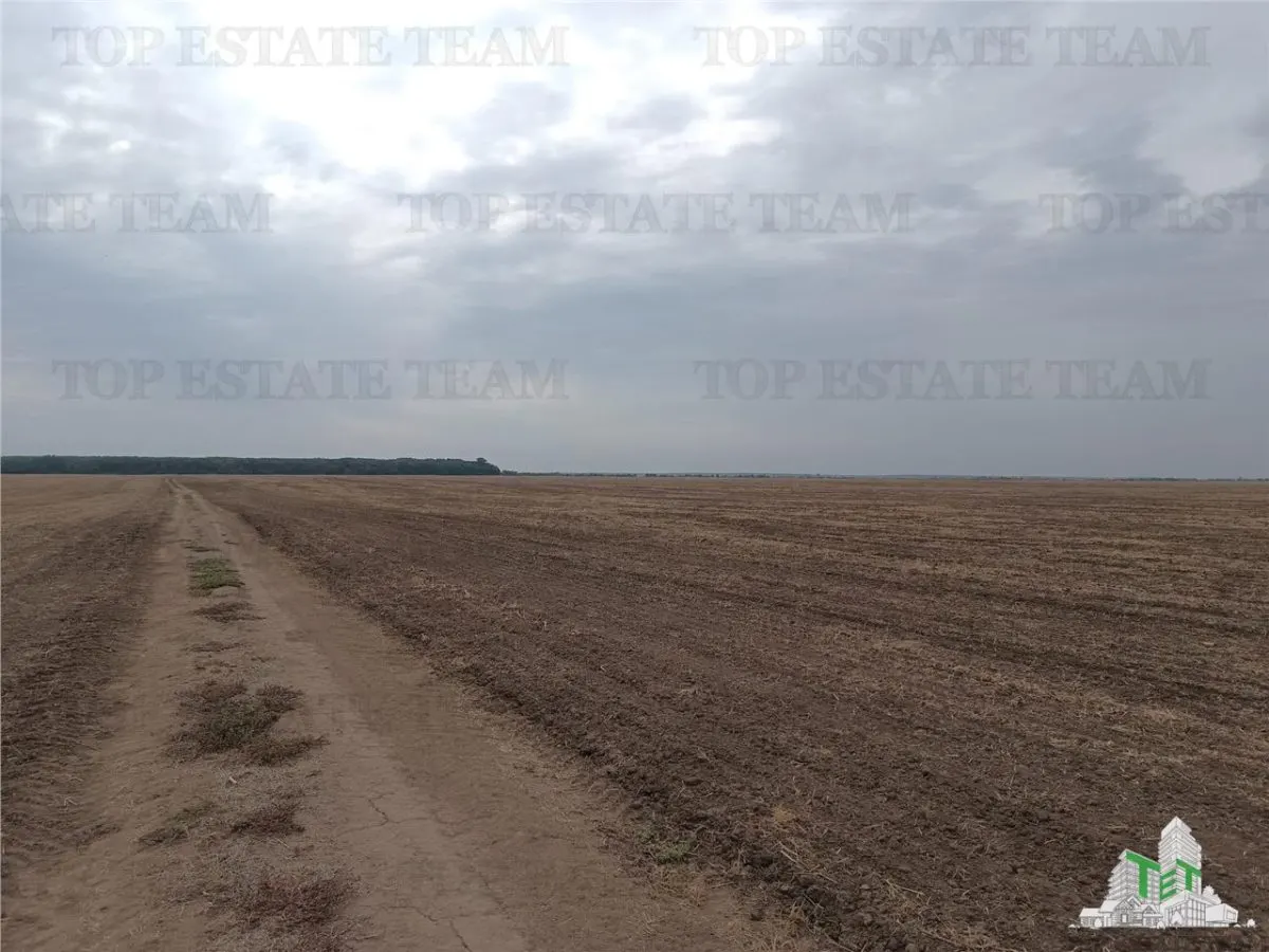 Oferim spre vanzare 6 loturi de teren extravilan (agricol) in Petrachioaia ILFOV la doar 1,9 euro/mp. - foto 6