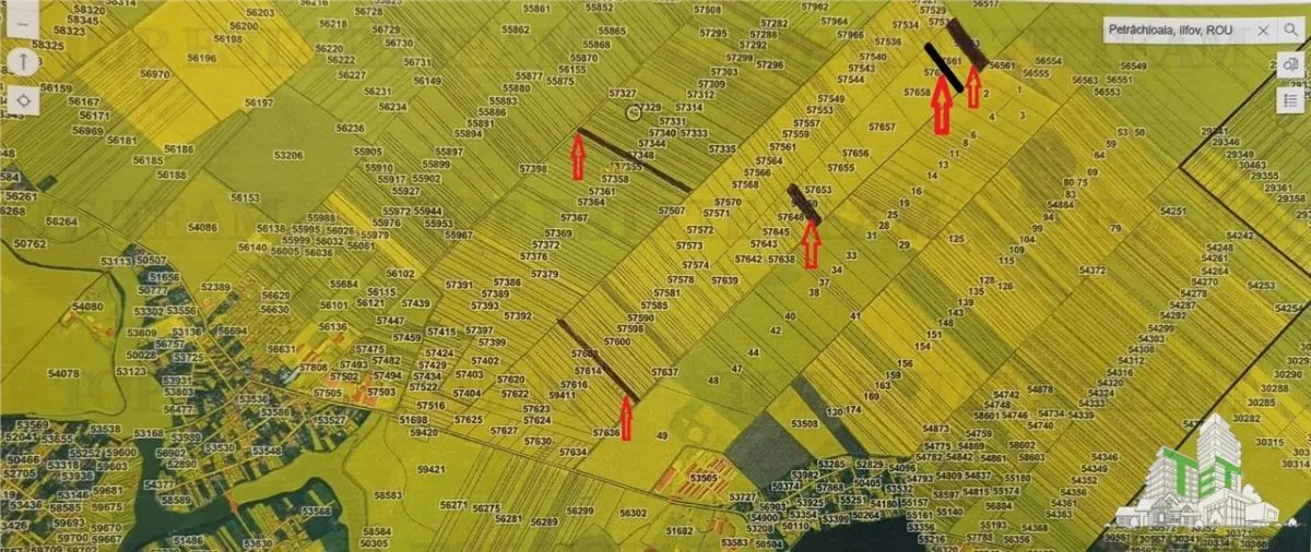 Oferim spre vanzare 6 loturi de teren extravilan (agricol) in Petrachioaia ILFOV la doar 1,9 euro/mp. - foto 8