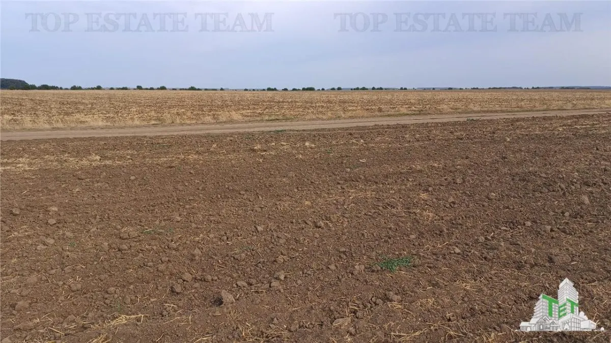 Oferim spre vanzare 6 loturi de teren extravilan (agricol) in Petrachioaia ILFOV la doar 1,9 euro/mp. - foto 9