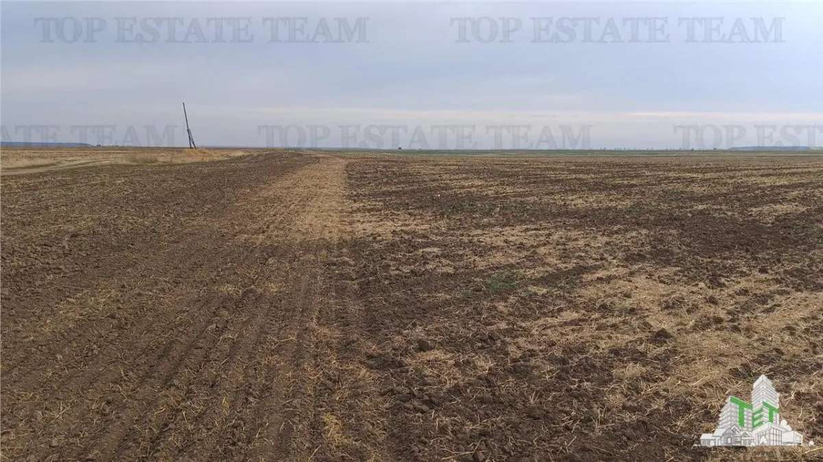 Oferim spre vanzare 6 loturi de teren extravilan (agricol) in Petrachioaia ILFOV la doar 1,9 euro/mp. - foto 10