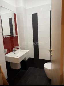 2 camere Sisesti cu gradina, prima inchiriere lux - foto 7