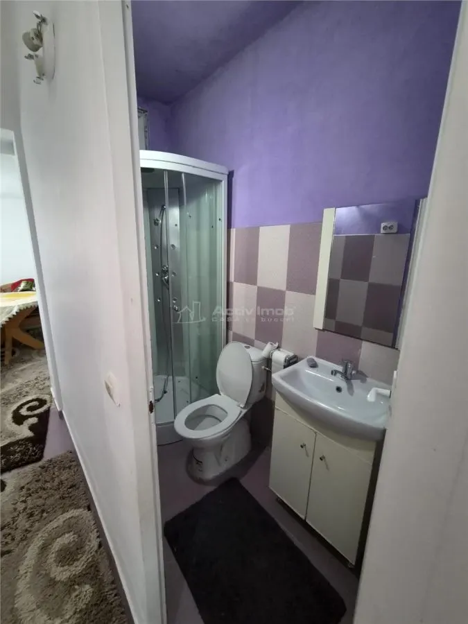 Casă MARE de CĂRĂMIDĂ în COM. Variaș, Timiș - 480 mp utili + 1500 mp teren - COMISION 0% - foto 11