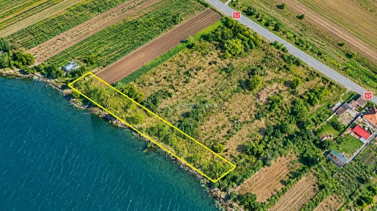 Macesti | Teren Drept La Dunare | 1850MP | ZERO COMISION - foto 2