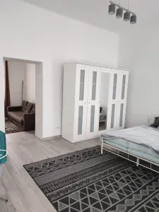2 cam - zona Podgoria - la curte comuna - Arad