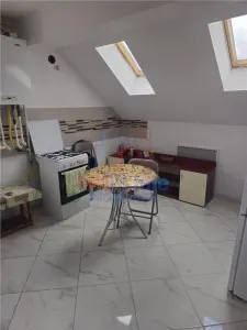 Apartament cu 2 camere open-space Valea Lupului - foto 2