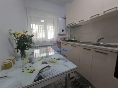 Apartament 2 Camere Tatarasi - Evergreen - foto 12