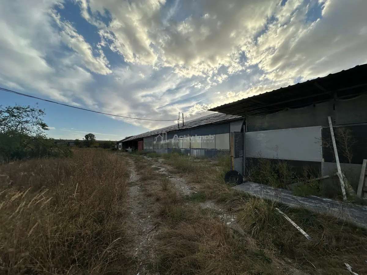 BERZOVIA, OPORTUNITATE SAU INVESTITIE.!!!..Teren cu 4 Hale, la Drumul National - foto 16