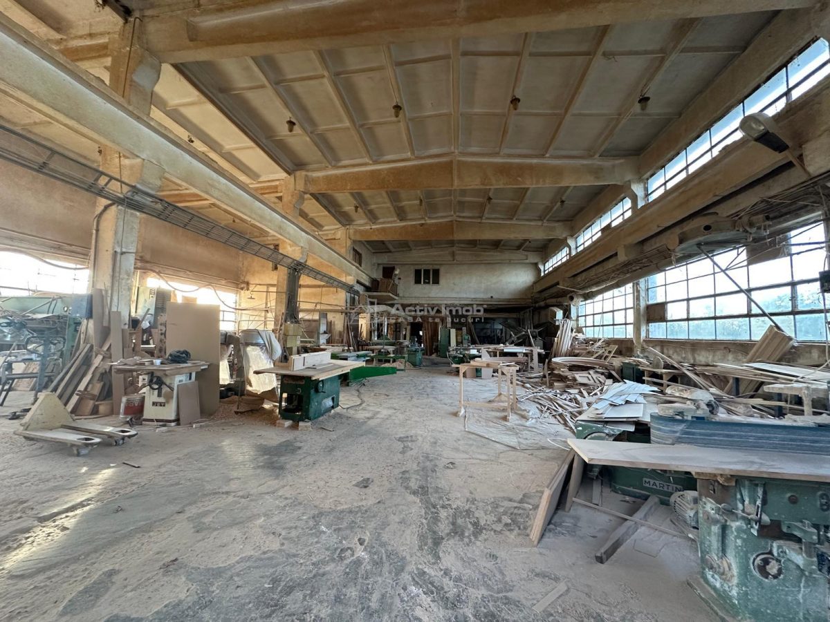 BERZOVIA, OPORTUNITATE SAU INVESTITIE.!!!..Teren cu 4 Hale, la Drumul National - foto 20