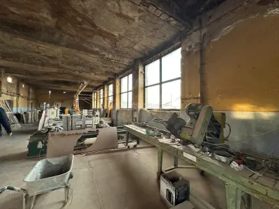BERZOVIA, OPORTUNITATE SAU INVESTITIE.!!!..Teren cu 4 Hale, la Drumul National - foto 8