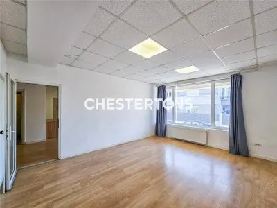 Spatiu Comercial - Tineretului, pretabil clinica infrumusetare, clinica veterinara, 2 intrari si parcare - foto 9