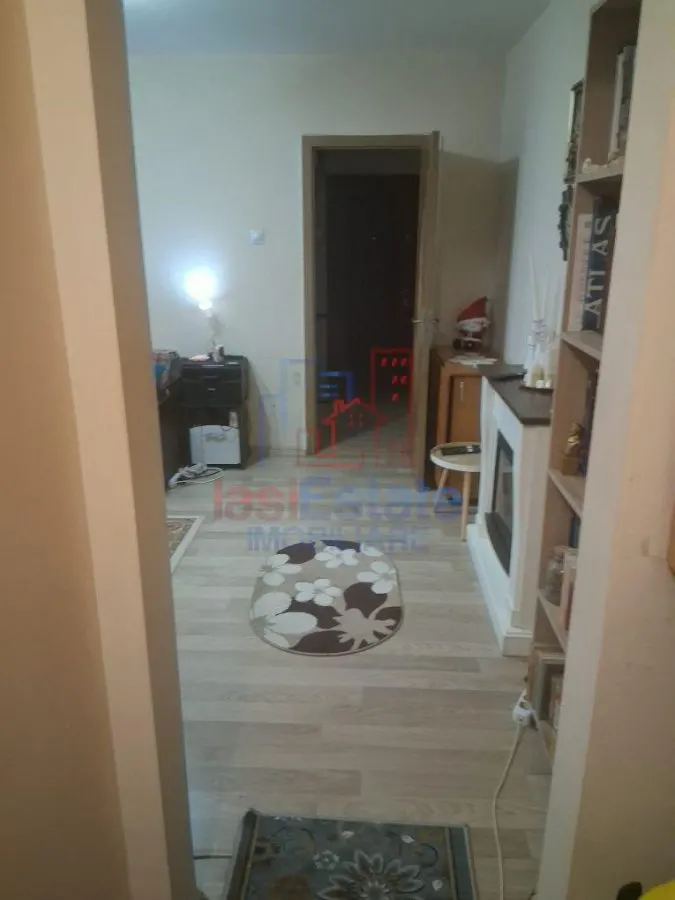 Apartament 3 camere, 53 mp, Alexandru cel Bun - Parter, centrala proprie, mobilat si utilat - foto 2